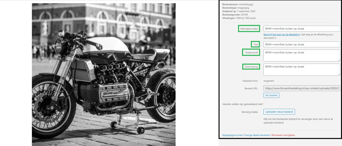 afbeelding optimaliseren in WordPress aan de achterkant van je website