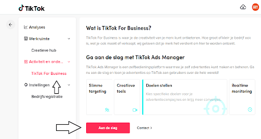 TikTok for business